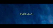 边牧乱咬人怎么办