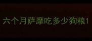 六个月萨摩吃多少狗粮