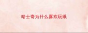 哈士奇为什么喜欢玩纸