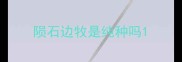 陨石边牧是纯种吗