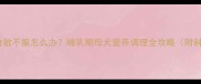 拉布拉多产后食欲不振怎么办哺乳期母犬营养调理全攻略附科学喂养方案