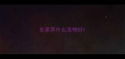 在家养什么宠物好