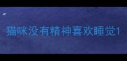 猫咪没有精神喜欢睡觉