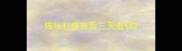 猫咪打疫苗后三天虚弱