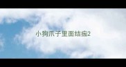 小狗爪子里面结痂