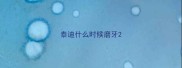 泰迪什么时候磨牙