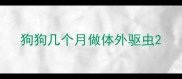 狗狗几个月做体外驱虫