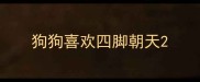 狗狗喜欢四脚朝天