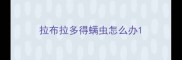 拉布拉多得螨虫怎么办