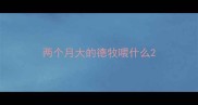 两个月大的德牧喂什么