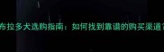 拉布拉多犬选购指南如何找到靠谱的购买渠道