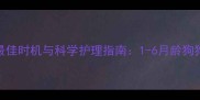 幼犬洗澡的最佳时机与科学护理指南1-6月龄狗狗清洁全攻略