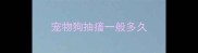 宠物狗抽搐一般多久