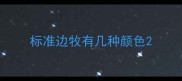 标准边牧有几种颜色