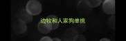 边牧和人家狗单挑