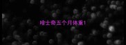 哈士奇五个月体重