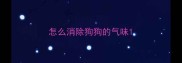 怎么消除狗狗的气味