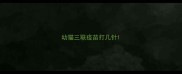 幼猫三联疫苗打几针