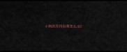 小狗的尿特别黄怎么治