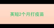 英短2个月打疫苗