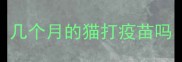 几个月的猫打疫苗吗