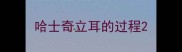 哈士奇立耳的过程