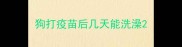 狗打疫苗后几天能洗澡