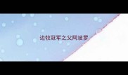 边牧冠军之父阿波罗