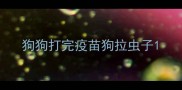 狗狗打完疫苗狗拉虫子