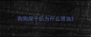 狗狗尿干后为什么很油