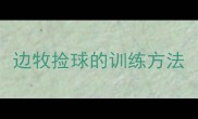 边牧捡球的训练方法
