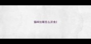 猫咪拉稀怎么厌食