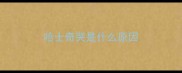 哈士奇哭是什么原因