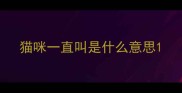 猫咪一直叫是什么意思