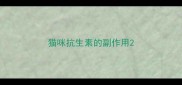 猫咪抗生素的副作用