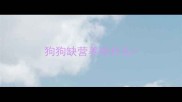 狗狗缺营养吃什么