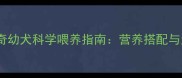 两个月哈士奇幼犬科学喂养指南营养搭配与注意事项全
