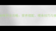 拉布拉多科学喂养全攻略营养搭配喂食技巧与疾病预防指南