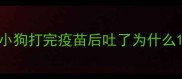 小狗打完疫苗后吐了为什么