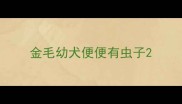 金毛幼犬便便有虫子