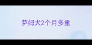 萨姆犬2个月多重