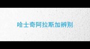 哈士奇阿拉斯加辨别