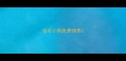 金毛小狗免费领养