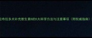 拉布拉多犬补充维生素D的5大科学方法与注意事项附权威指南