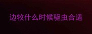 边牧什么时候驱虫合适