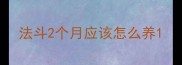 法斗2个月应该怎么养