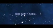 狗疫苗本子有用吗