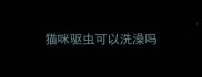 猫咪驱虫可以洗澡吗