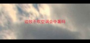 边牧不吹空调会中暑吗