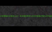 边牧幼犬感冒呕吐拉稀怎么办资深兽医教你3步应对家庭护理与及时就医指南